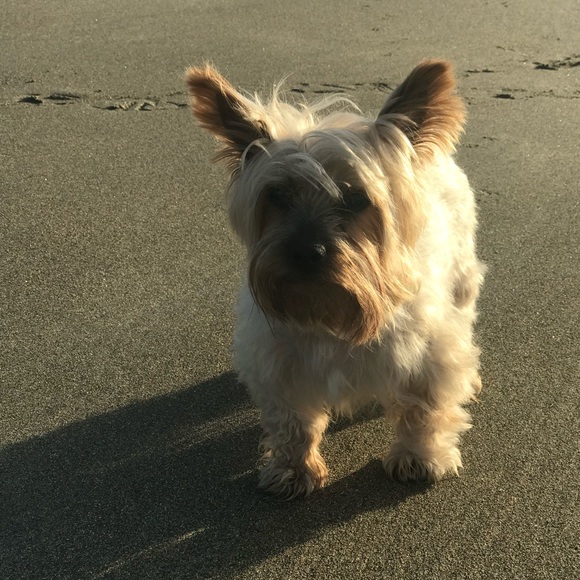 Meet your Posher, Elizabeth - Picture 13 of 15